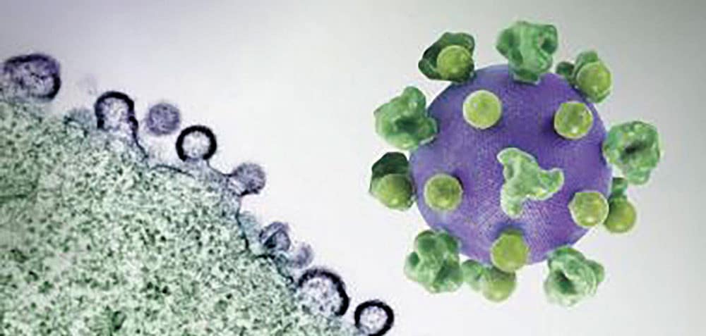 Women May Naturally Control HIV Better Than Men