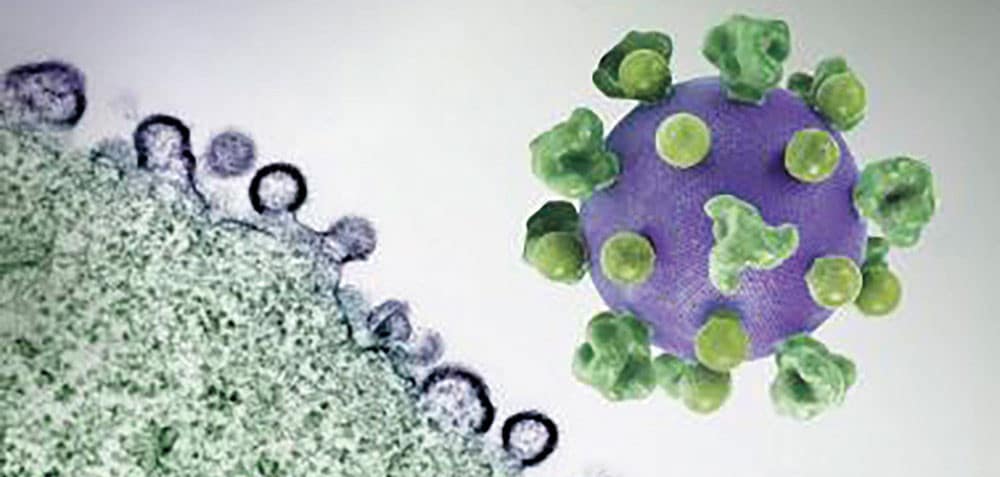 Scientists Map How HIV Hijacks Human Cells—and How Cells Can Fight Back
