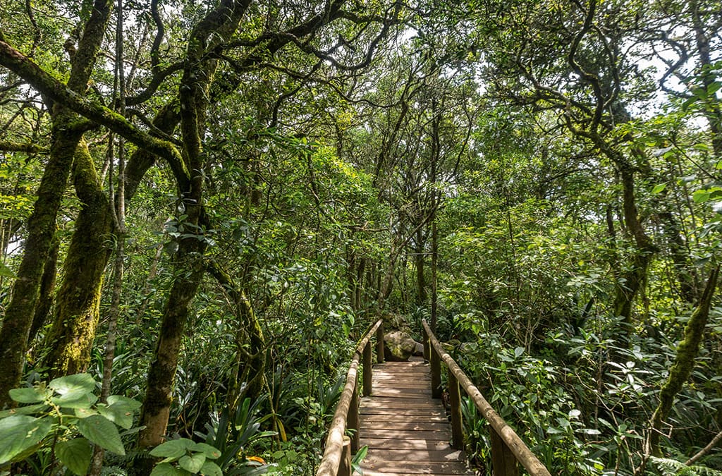 Best things to do in Mpumalanga