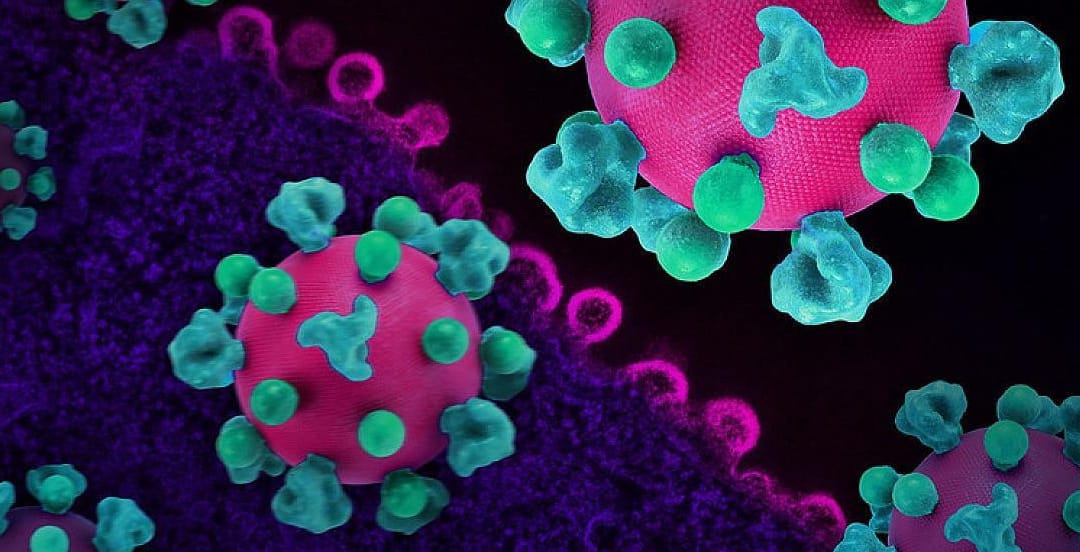 Bictegravir/Lenacapavir Daily Combo Pill Maintains HIV Suppression