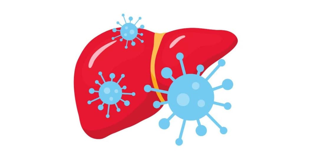 Metabolic Risk Persists Even After Hepatitis C is Cured