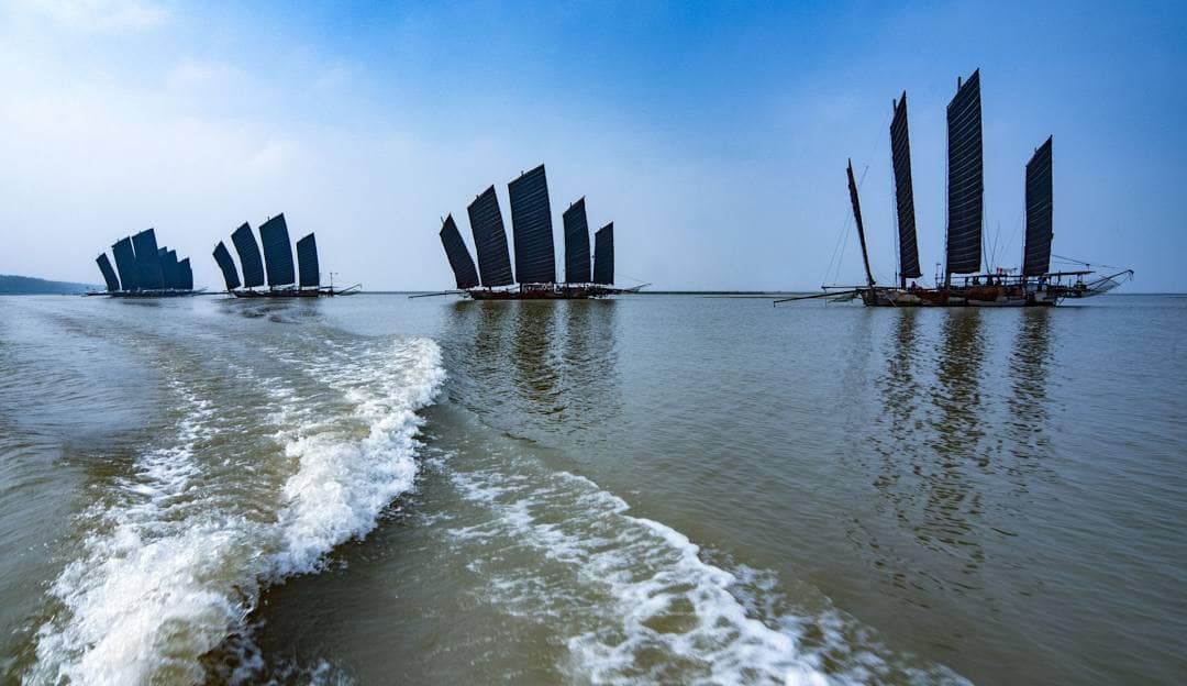 The Improbable Journey of the Dragon Prawn