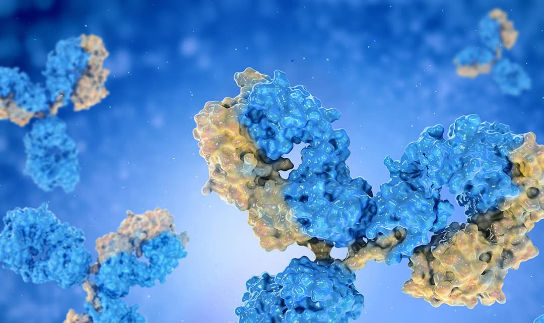 Combination Immunotherapy May Help T Cells Fight HIV