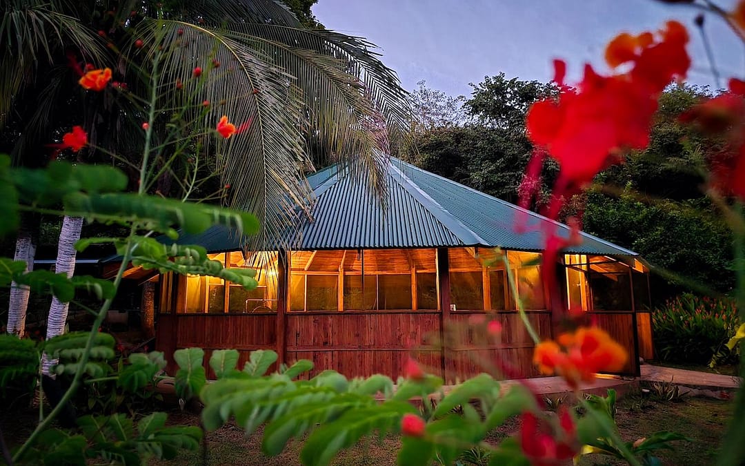 Journey into Yourself: Healing & Transformation at Costa Rica’s Oldest Ayahuasca Retreat