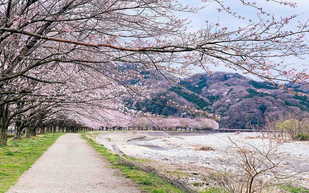 Travel Guide to Japan