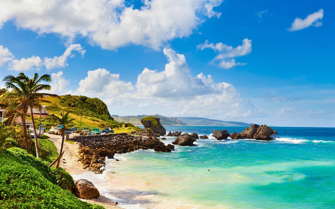 A Caribbean Castaway in Barbados