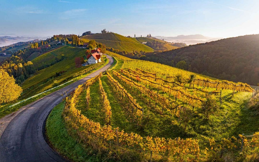 Europe for Wine Lovers: 8 Wine Regions to Visit