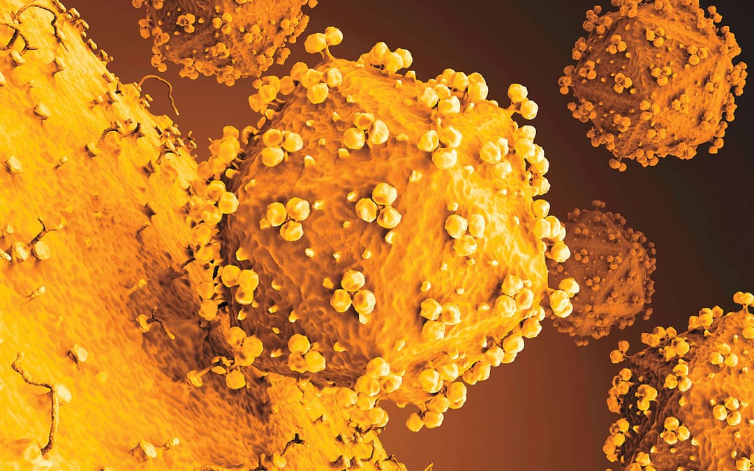 Is HIV Now Named “Lentivirus Humimdef1”?