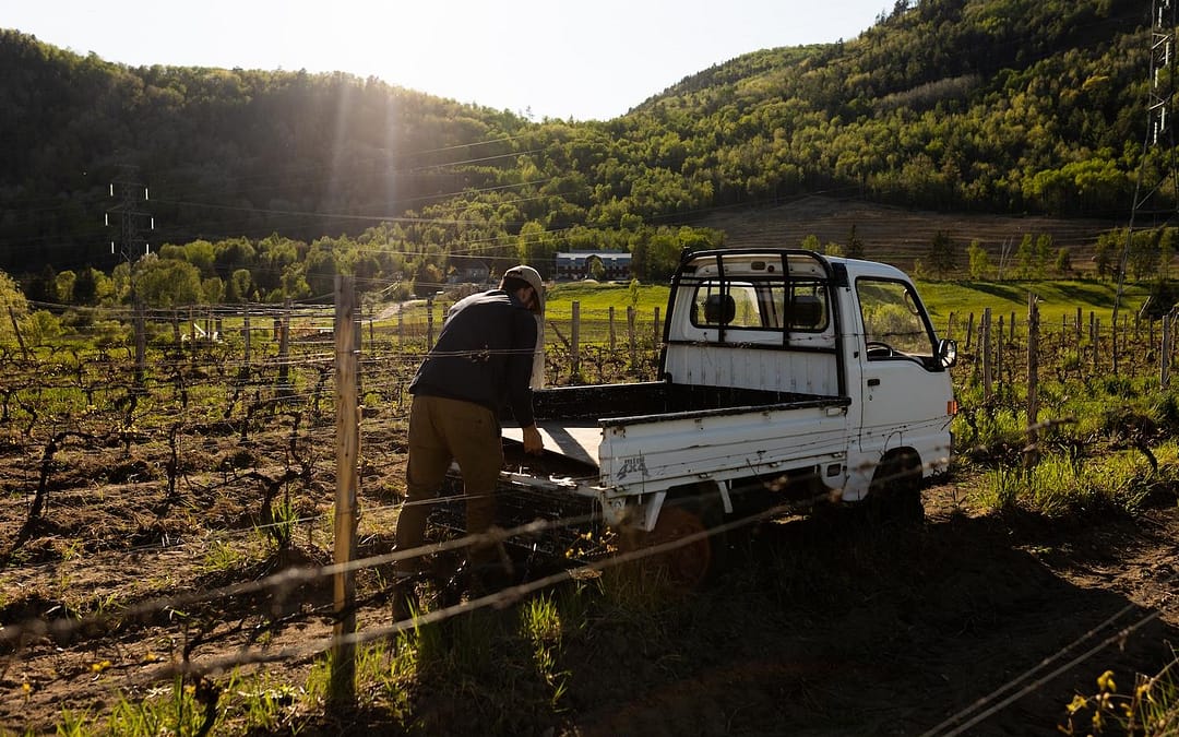 Drinking Quebec: 16 Remarkable Vineyards & Breweries You Must Visit