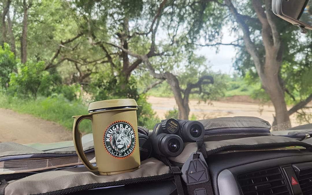 7 tips for self-driving the Kruger