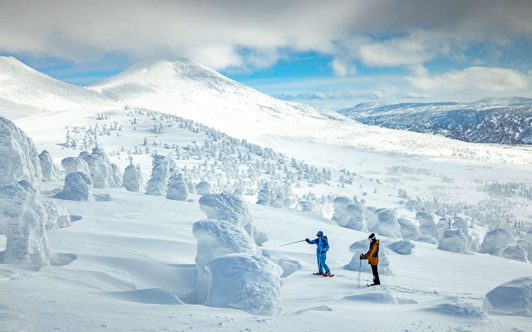 A Winter Wonderland in Japan: Discover Aomori, the Snowiest City in the World