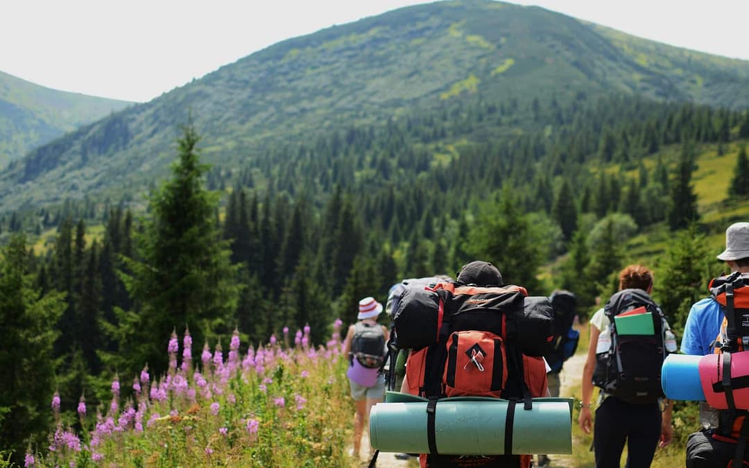 10 Ways Travel Brands Can Reach Frequent Travelers on Go World Travel