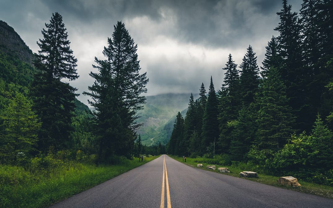 So Now What? A Clarity Offering From Sero Leadership