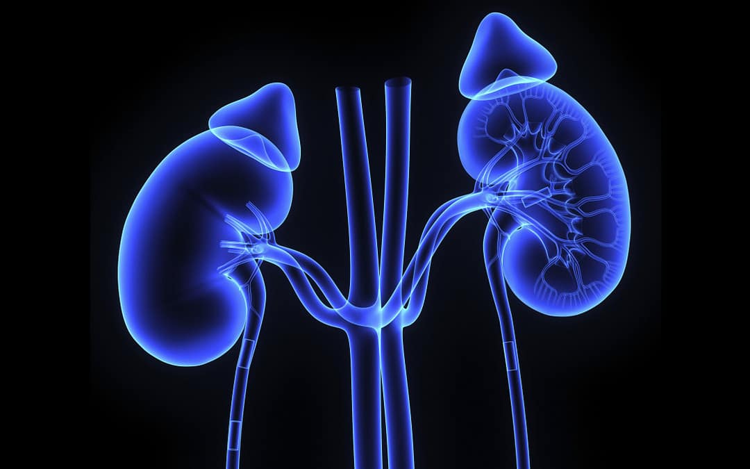 Personalized Vaccine May Help Prevent Kidney Cancer Recurrence