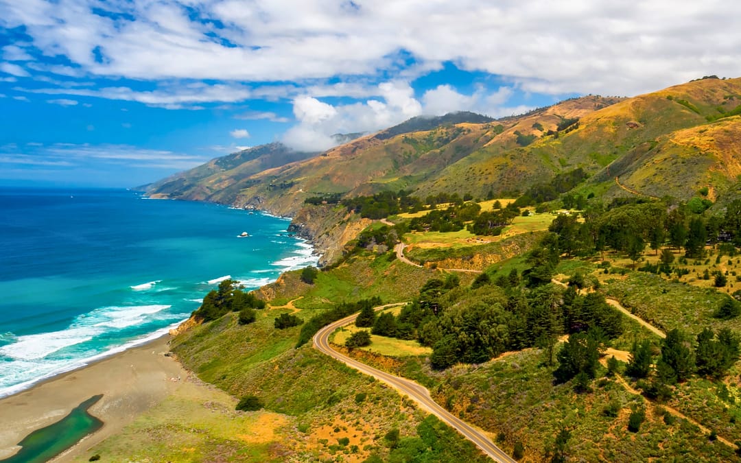 Sea, Sips and Seals: Life in San Luis Obispo County, California