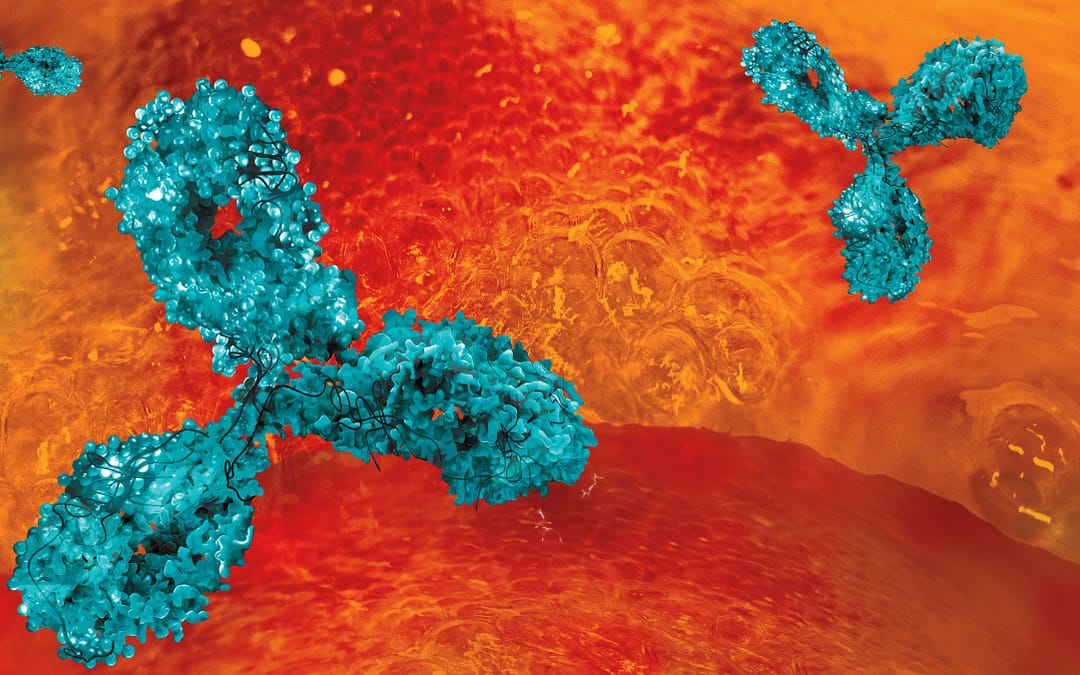 Lenacapavir Plus Broadly Neutralizing Antibodies Could Be Twice-Yearly Treatment