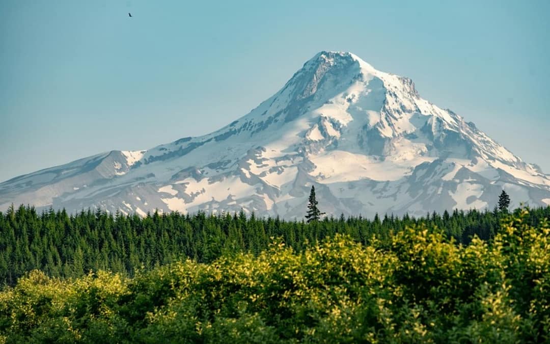 The Great Mountain Feud: TikTok’s Silliest Battle Will Leave You Peaked with Laughter