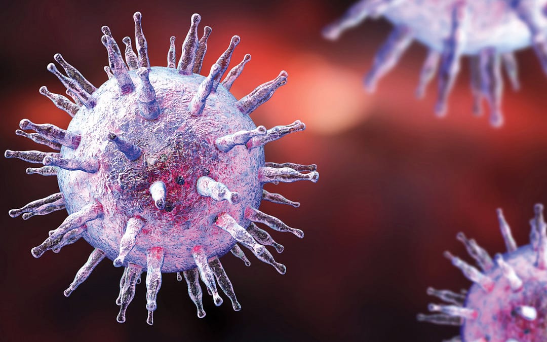Epstein-Barr Virus’s Molecular Mimicry Reveals a Key Site of Vulnerability
