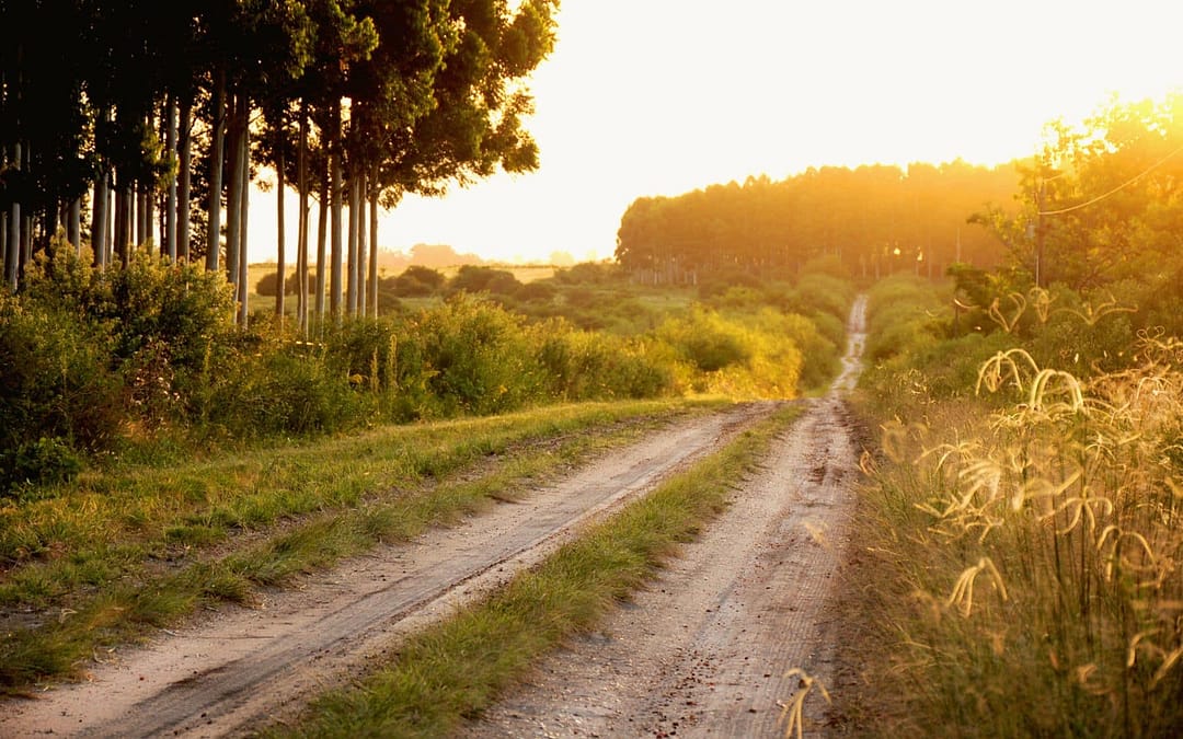 Finding Serenity and Connection On The Less-Traveled Portuguese Camino