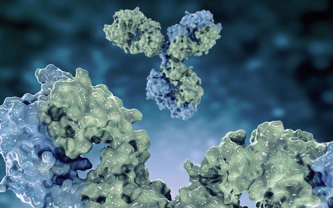 Broadly Neutralizing Antibodies Show Promise for Long-Acting HIV Treatment