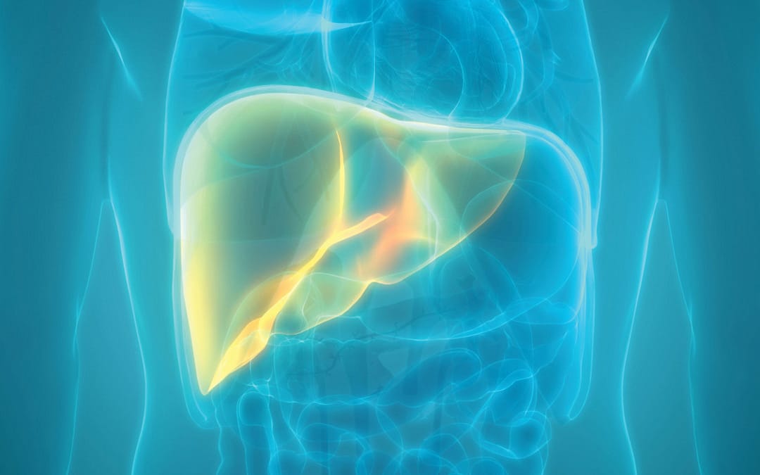 Fatty Liver Disease Is Expected to Skyrocket By 2050