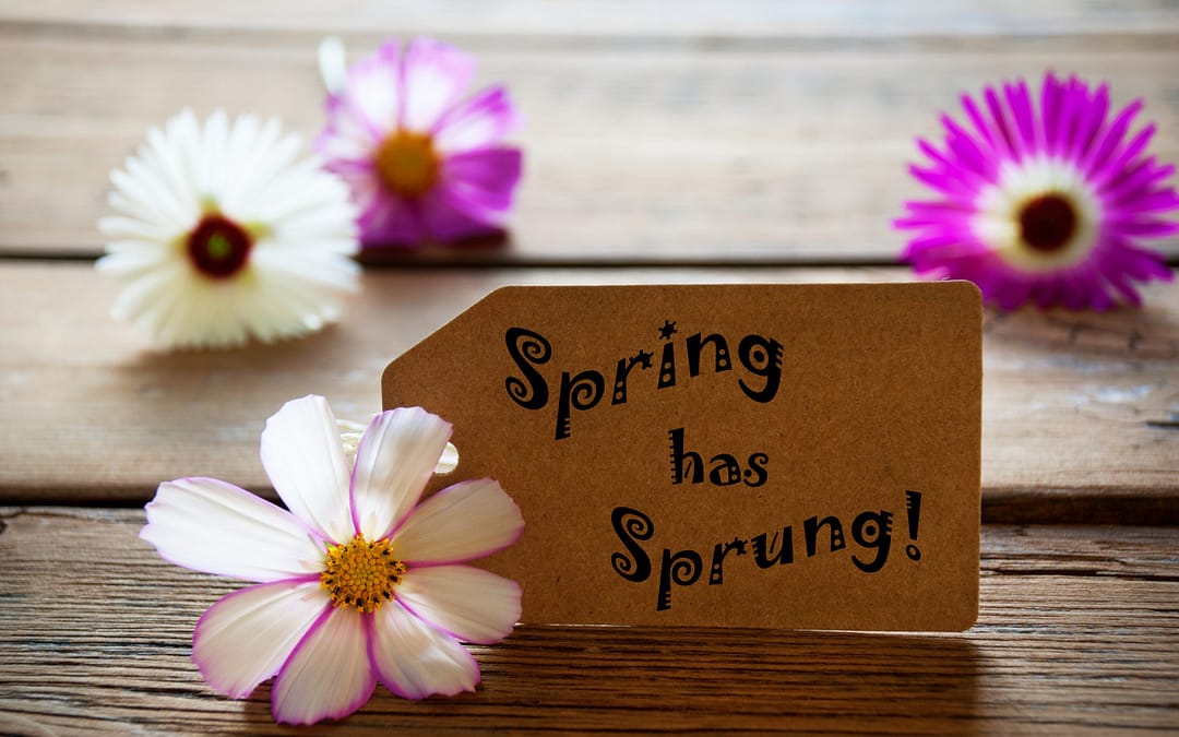 Are You Ready for Spring?