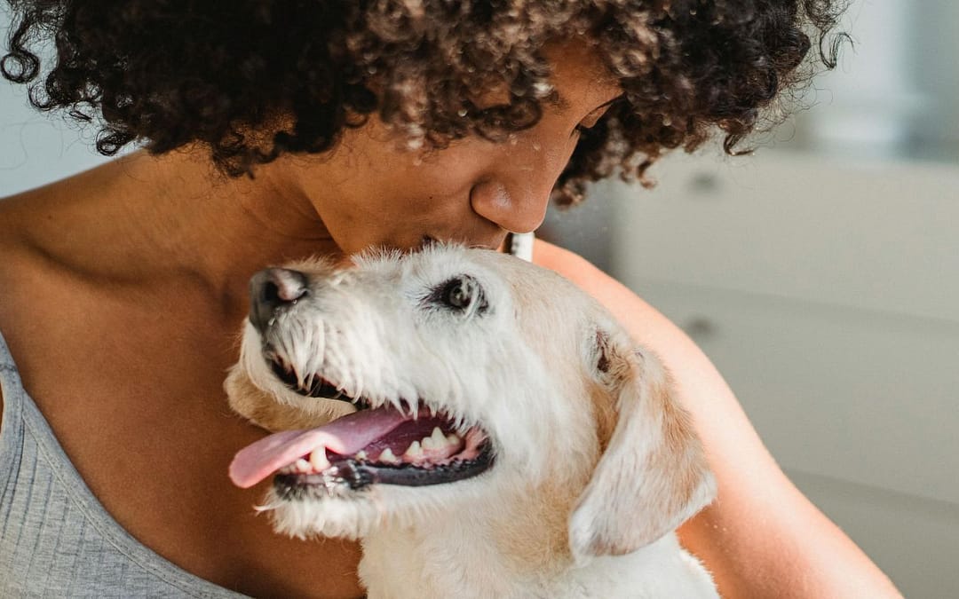 Can Dogs Ease Our Perception of Pain?