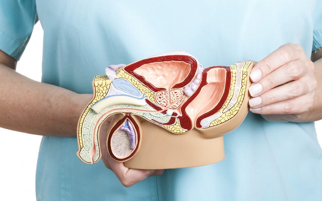 Nerve-Sparing Prostate Cancer Surgery Preserves Sexual Function