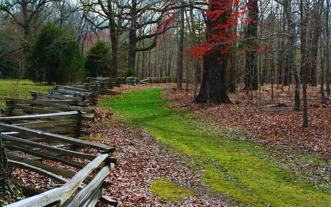 Driving Tennessee’s Natchez Trace Parkway In Search of Meriwether Lewis
