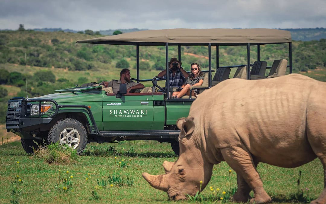 Beyond Kruger: 25 incredible wildlife reserves to visit if you can’t get to Kruger