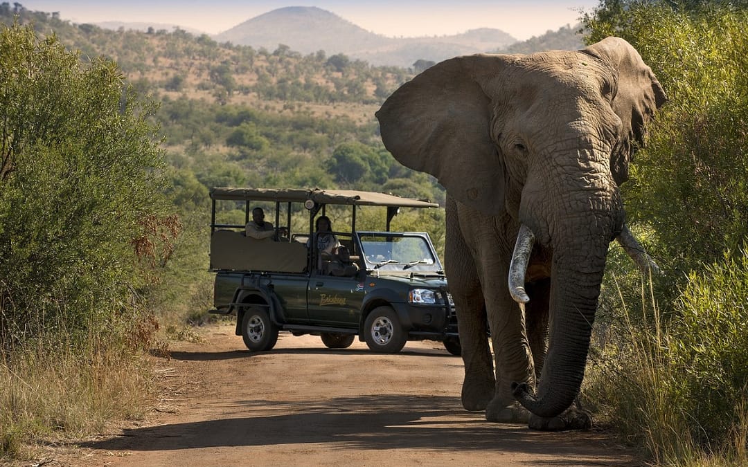Embracing nature in the North West province