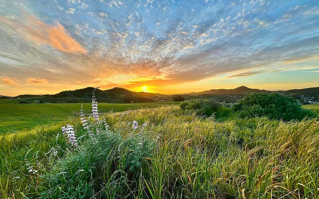 Conejo Valley: A Peaceful Retreat from LA’s Chaos