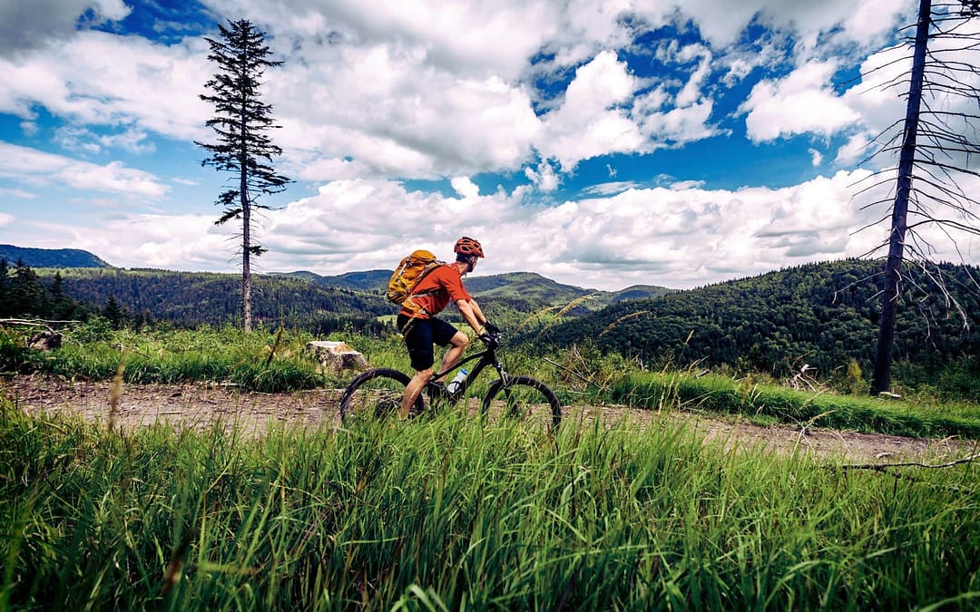 Pedal Paradise: Canada’s Most Breathtaking Cycling Adventures