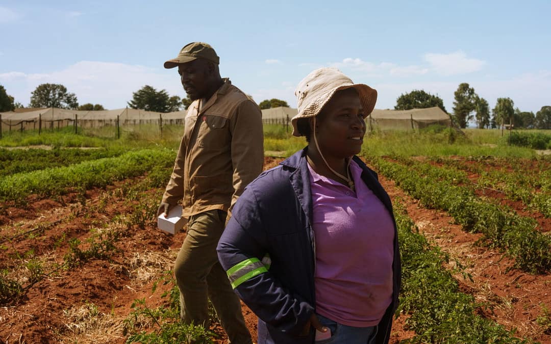 Could a Handheld Device Reshape Farming in Africa?