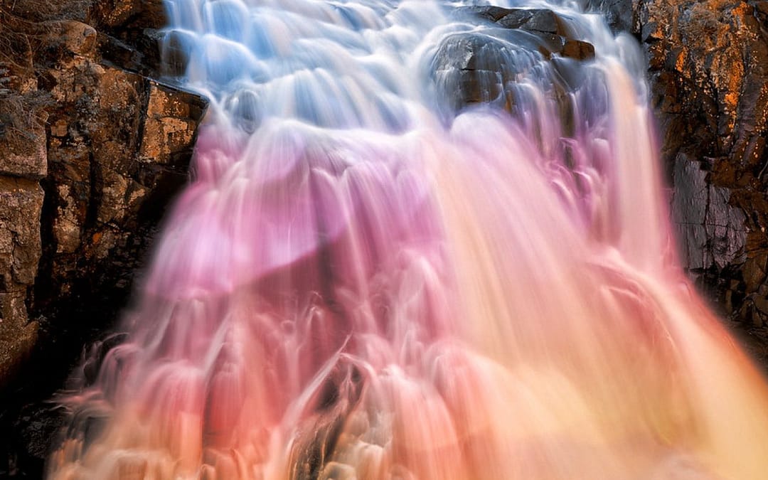 The Case for a Fluid View of Sex