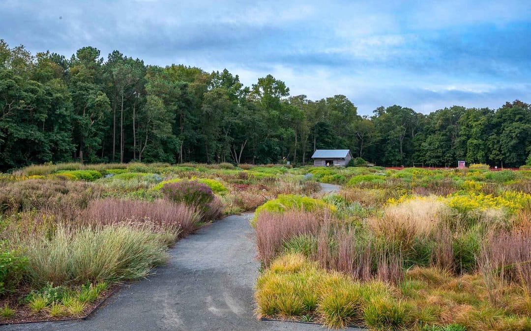 Why Southern Delaware Should Be Your Next Beach Escape