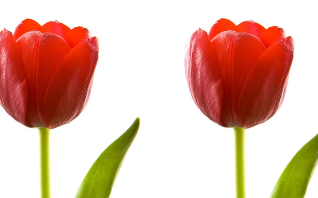 Authenticity Can Help Relationship Burnout