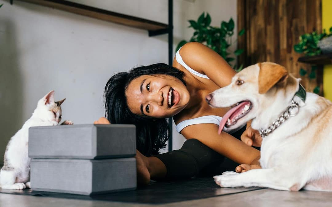 The Positive Value of Dogs and Cats on Human Well-Being