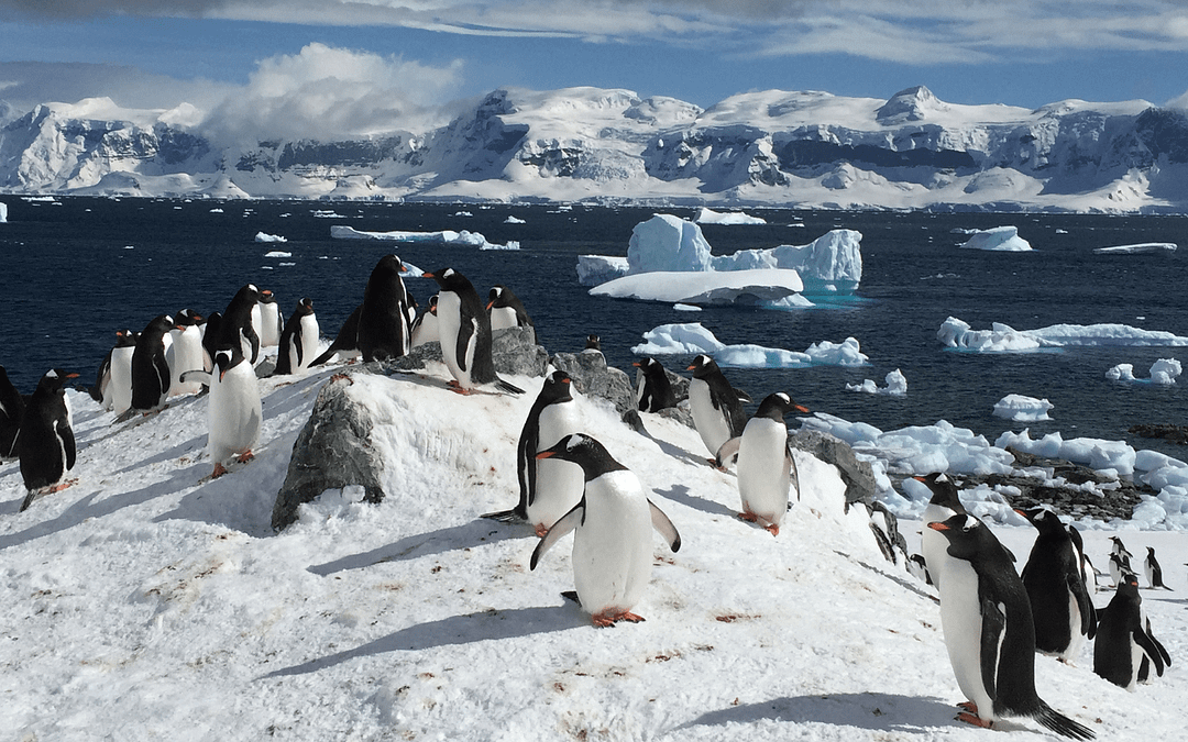 Antarctica Geography: The Frozen Continent Unveiled – A Geographical and Geological Primer