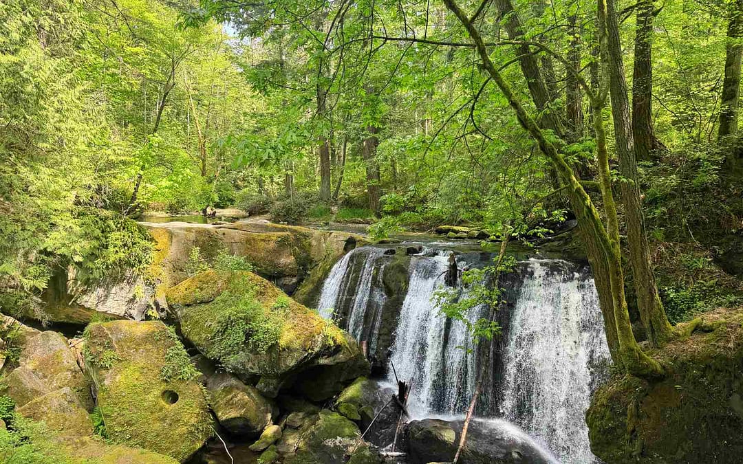 A Guide to Bellingham, WA, Your Next Pacific Northwest Escape