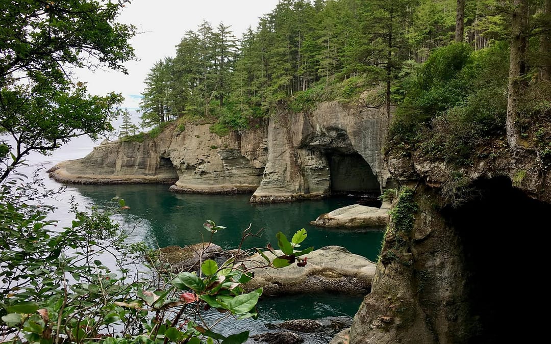 Washington’s Most Epic Road Trip: Rainforests, Beaches & Mountains in One Loop