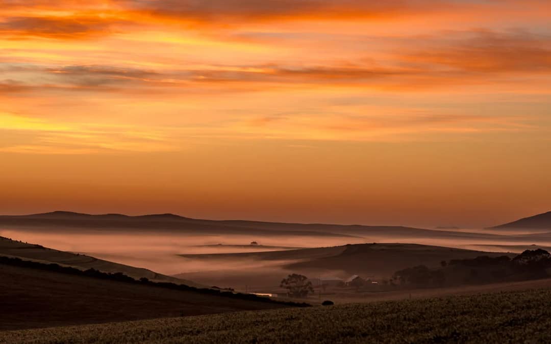 New provincial nature reserve in Overberg secures largest renosterveld stretch on Earth