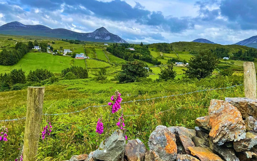 Fiddle, Flutes & Pubs: A Musical Journey Through Northern Ireland & County Donegal