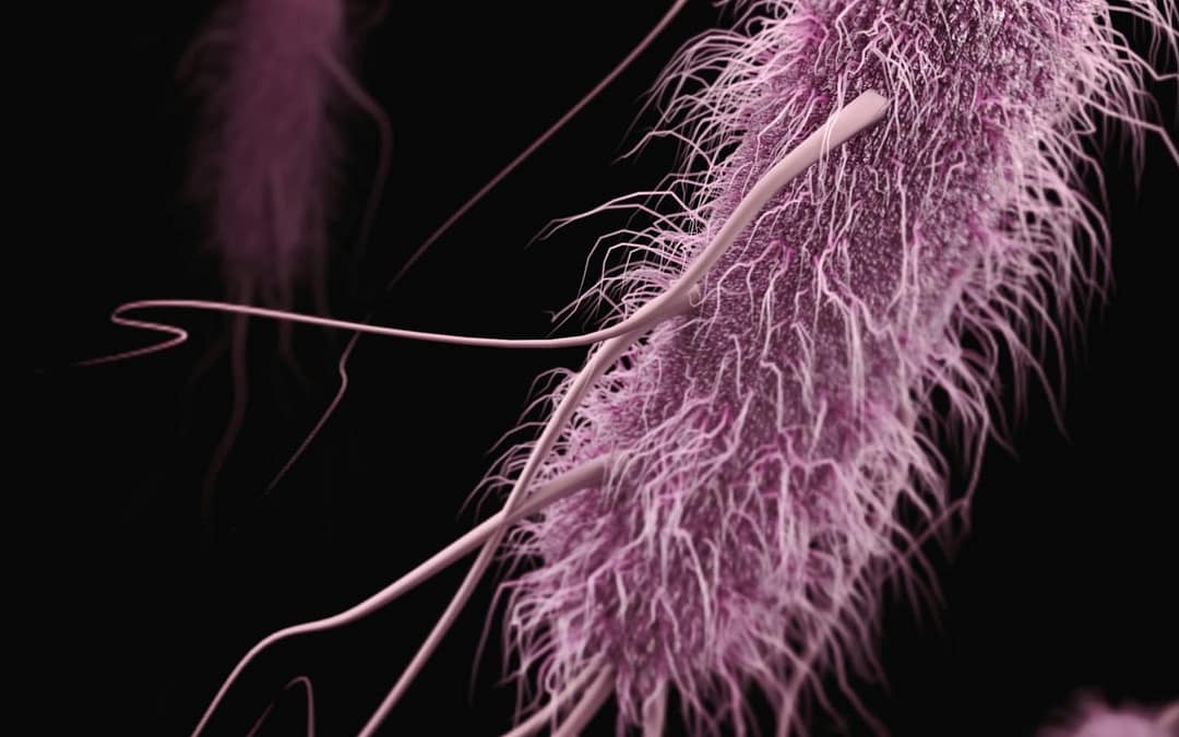Do Biological Subtypes of Schizophrenia Exist?