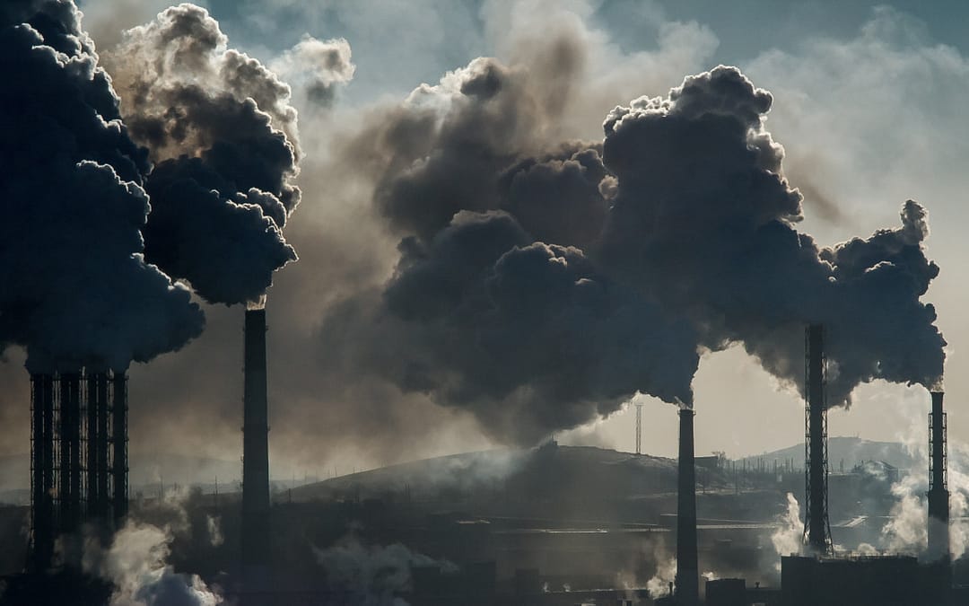 NIH Study Links Particulate Air Pollution to Increased Mutations in Lung Cancers Among Nonsmokers
