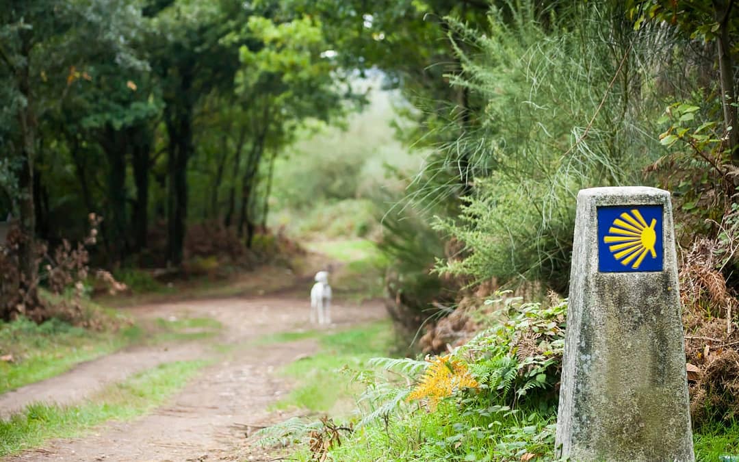 What You Need to Know About Walking the Camino de Santiago: Memoir of a First-Timer