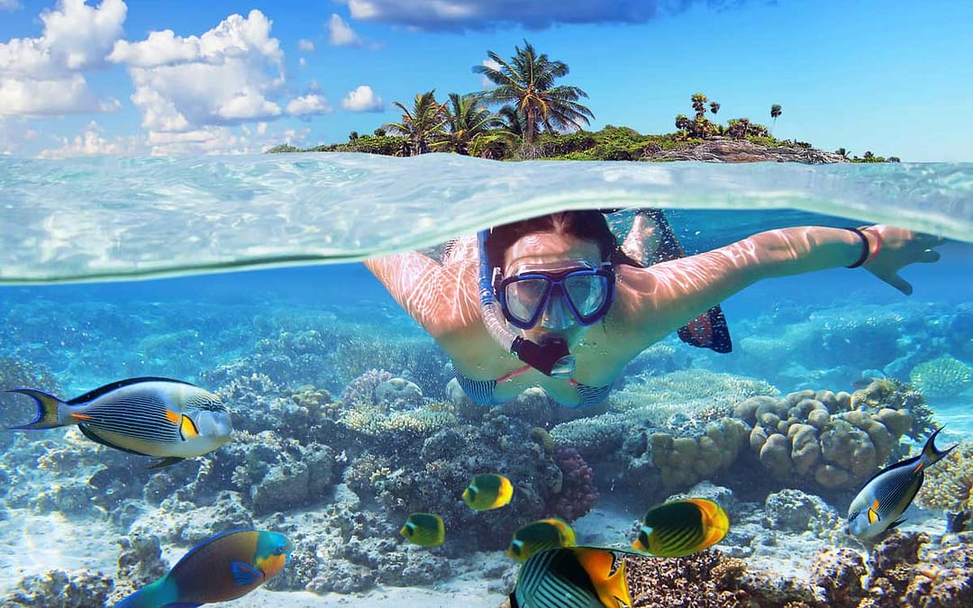 9 Places to Experience Amazing Sea Life Up Close