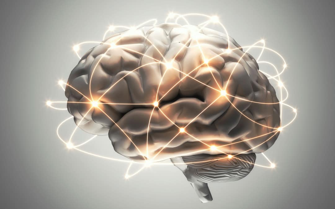 Measuring Aging With Brain Scans