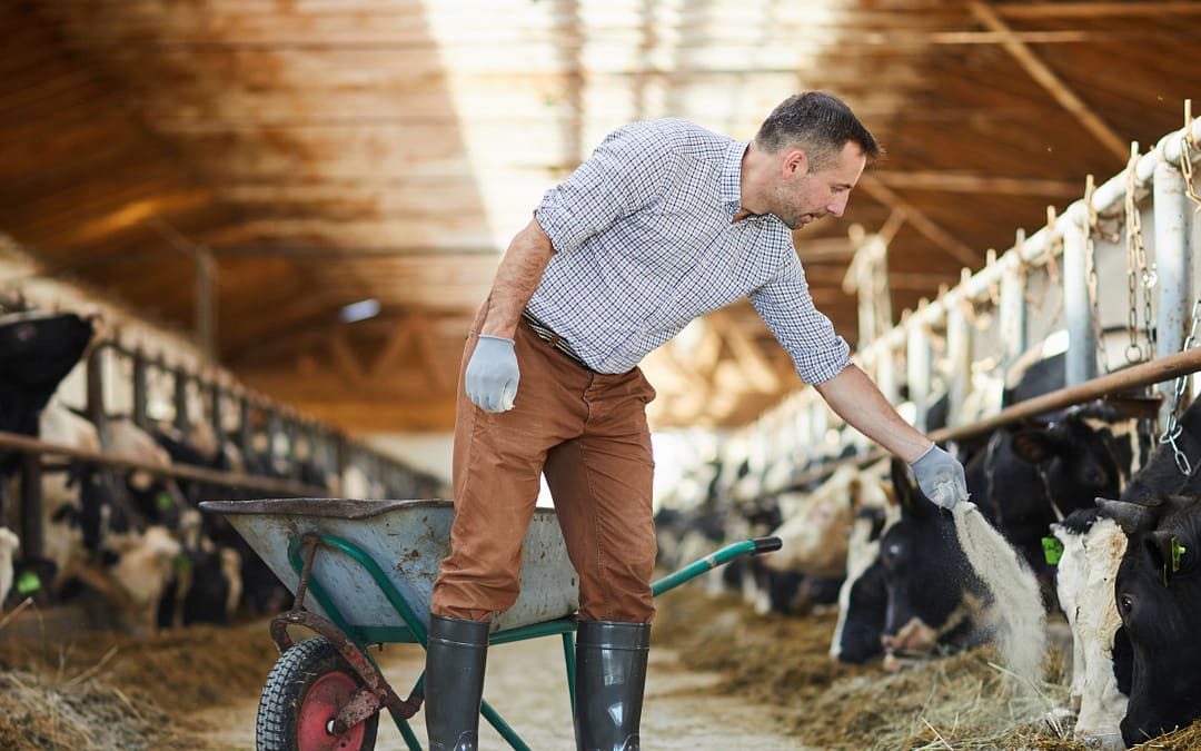No One Knows Whether Trump’s $50B for Rural Health Will be Enough