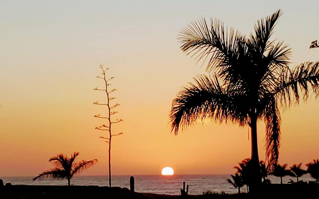 How the Todos Santos Writers Workshop in Baja Leads the Way to Edu-tourism (and the Best Fish Tacos)